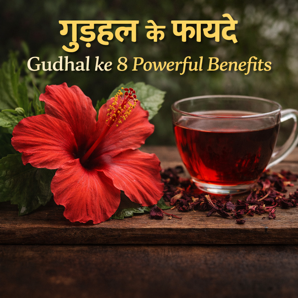 gudhal ke fayde hibiscus flower and hibiscus tea benefits for skin hair blood pressure